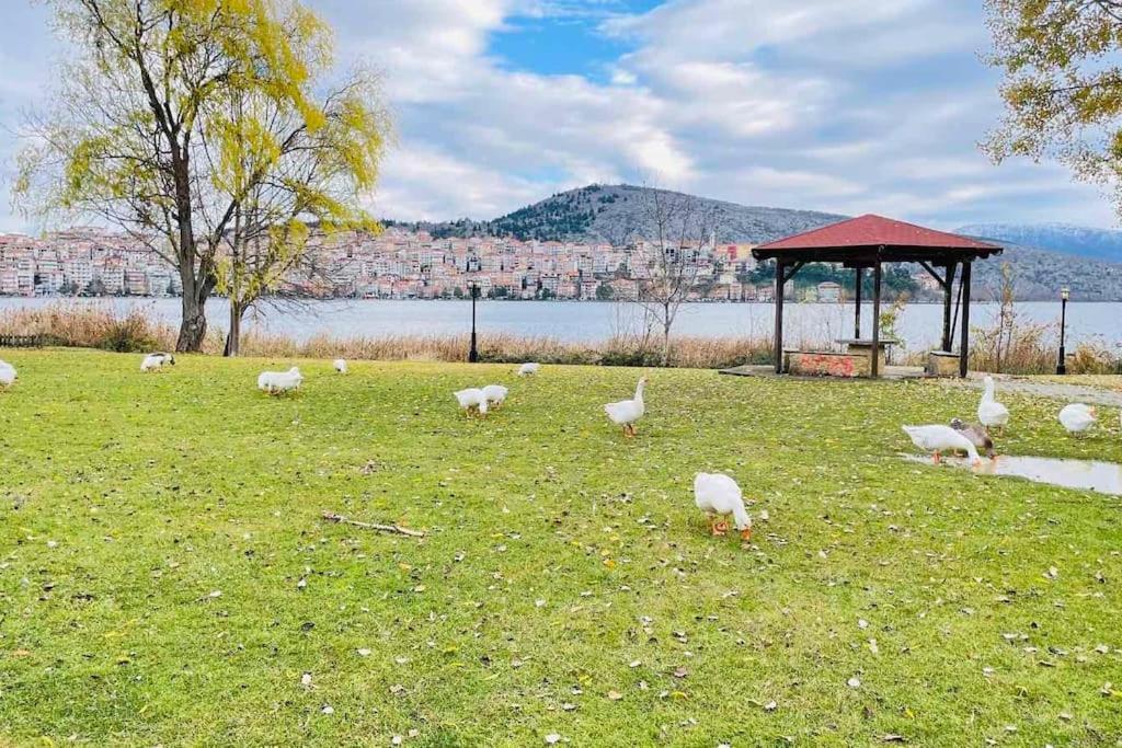 Lida'S Apartment Lake View Kastoria Exterior photo